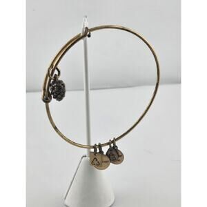 Alex And Ani Pine Cone Gold Tone Bangle Bracelet Sealed Charity By Design
